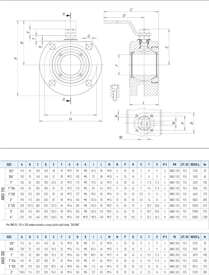 Specifiche tecniche MOON ANSI